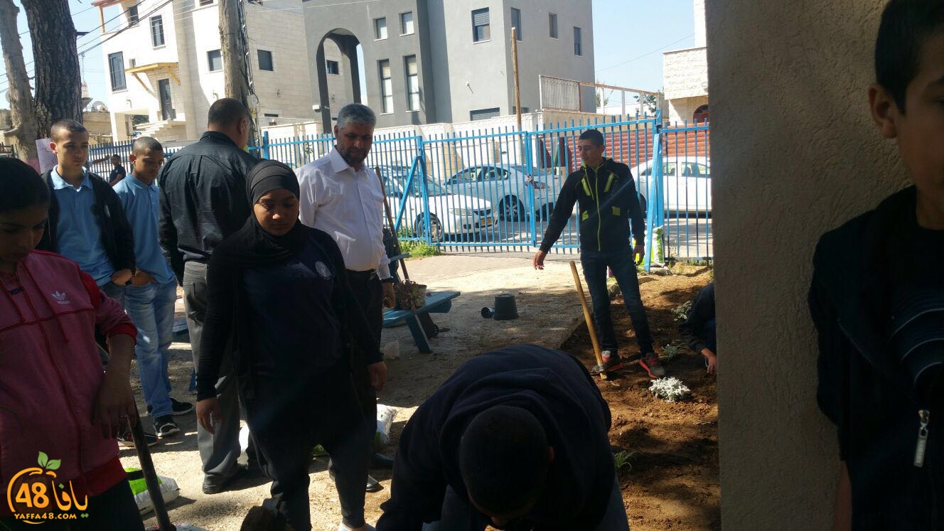 tomashin lduaj (17).jpg